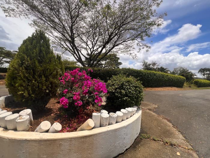 Lote en venta en exclusivo condominio de La Morada, Jamundí — foto 12 de 22